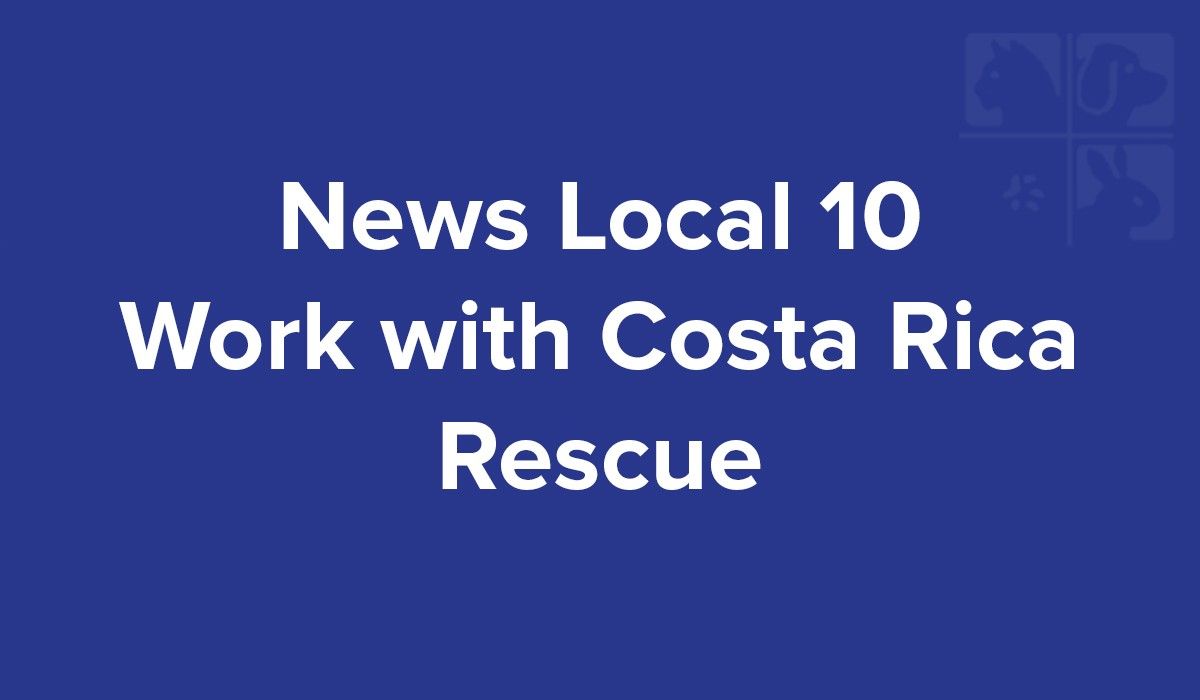 news-local-10-work-with-costa-rica-rescue
