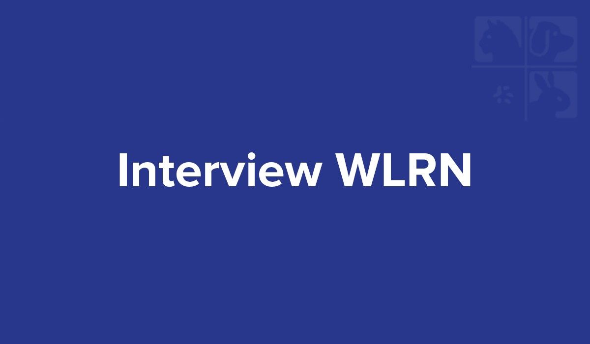 interview-wlrn