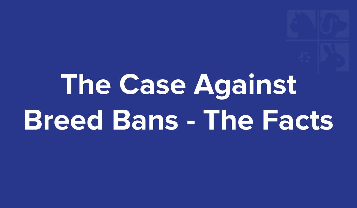 the-case-against-breed-bans-the-facts
