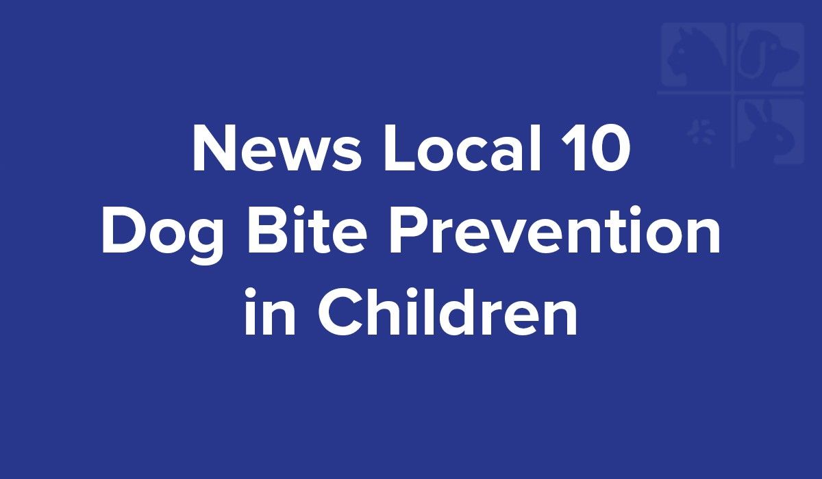 news-local-10-dog-bite-prevention-in-children
